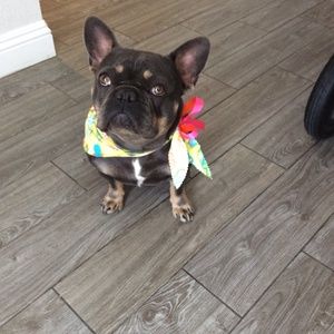 Meet your Posher, Carina